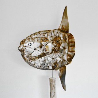 Mola flowers - Poisson lune - Sun fish