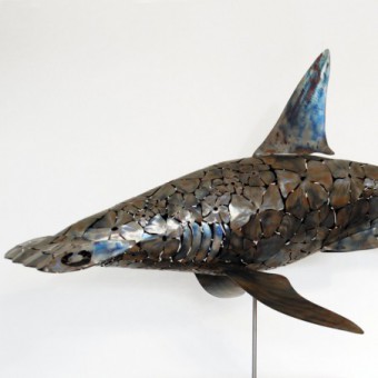 Requin Marteau flowers - Hammer Head Shark