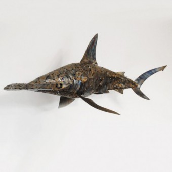 Requin Marteau flowers - Hammer Head Shark