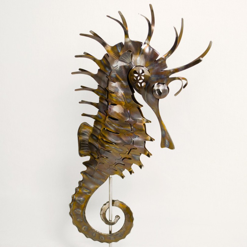 Merou flower - Grouper Merou flower - Grouper