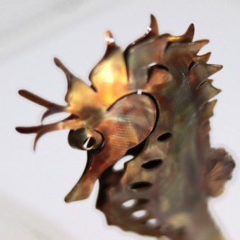 Hippocampe XS - Bronze
