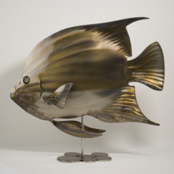 Poisson Ange Geographe