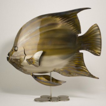 Poisson Ange Geographe