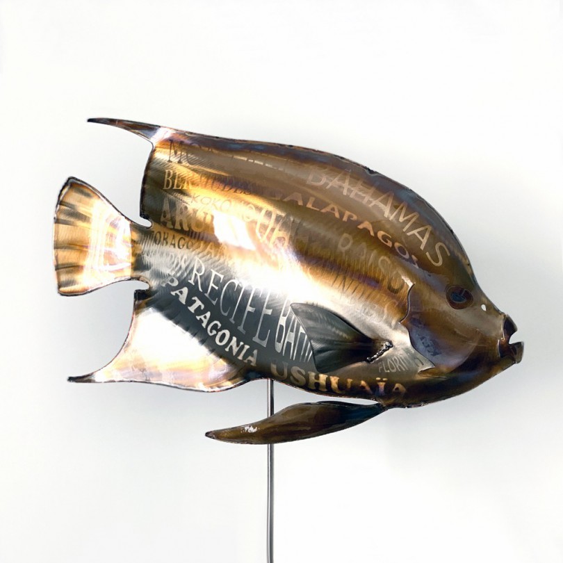 Poisson Ange Kokomo