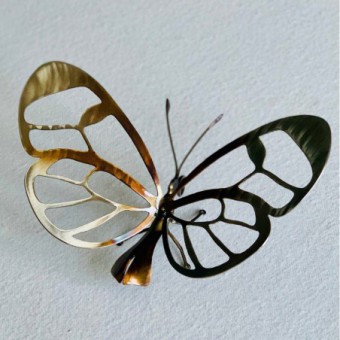 PAPILLON CRISTAL WINGS