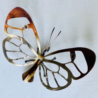 PAPILLON CRISTAL WINGS