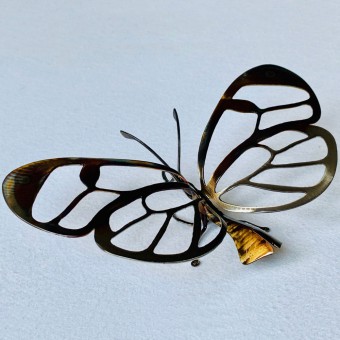 PAPILLON CRISTAL WINGS